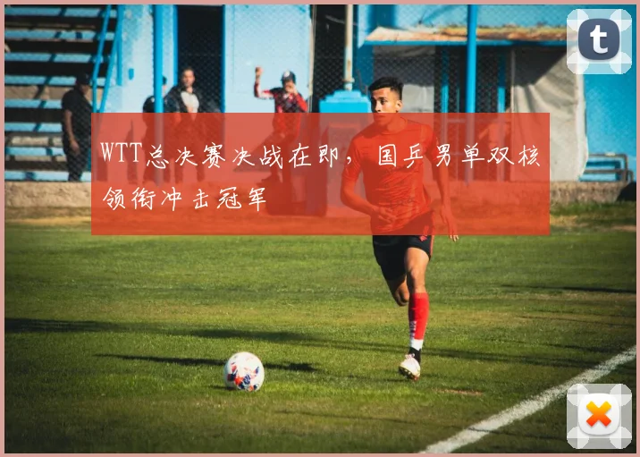 WTT总决赛决战在即，国乒男单双核领衔冲击冠军